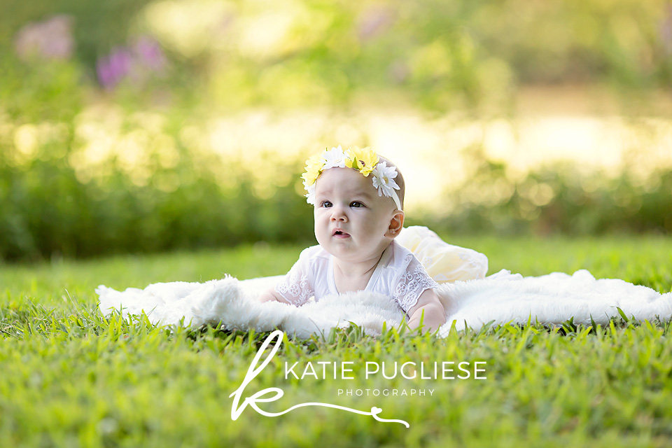 Six month baby girl photo session