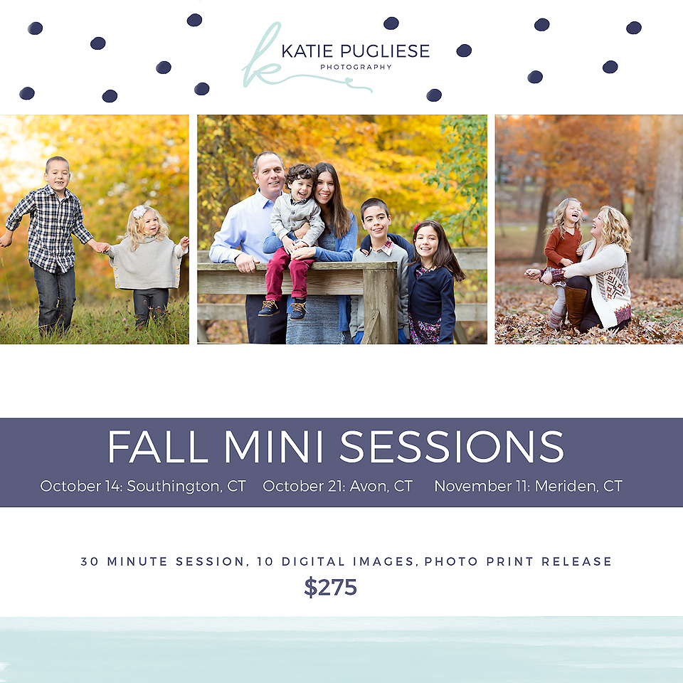 2017 Fall Mini Sessions