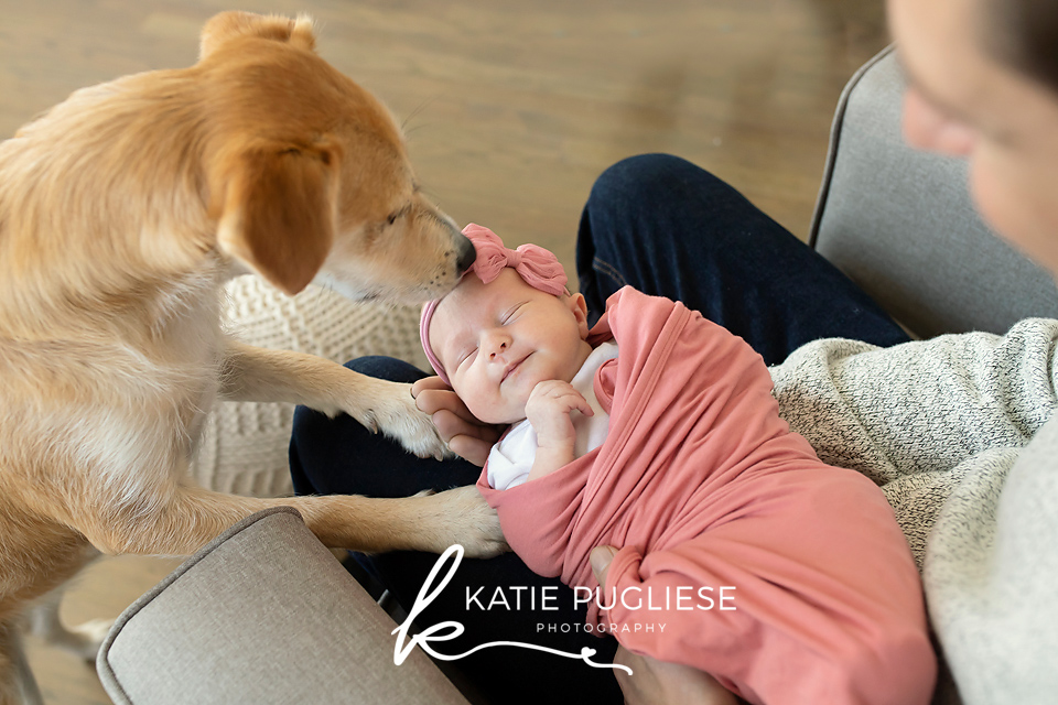 In home newborn session with family dog.