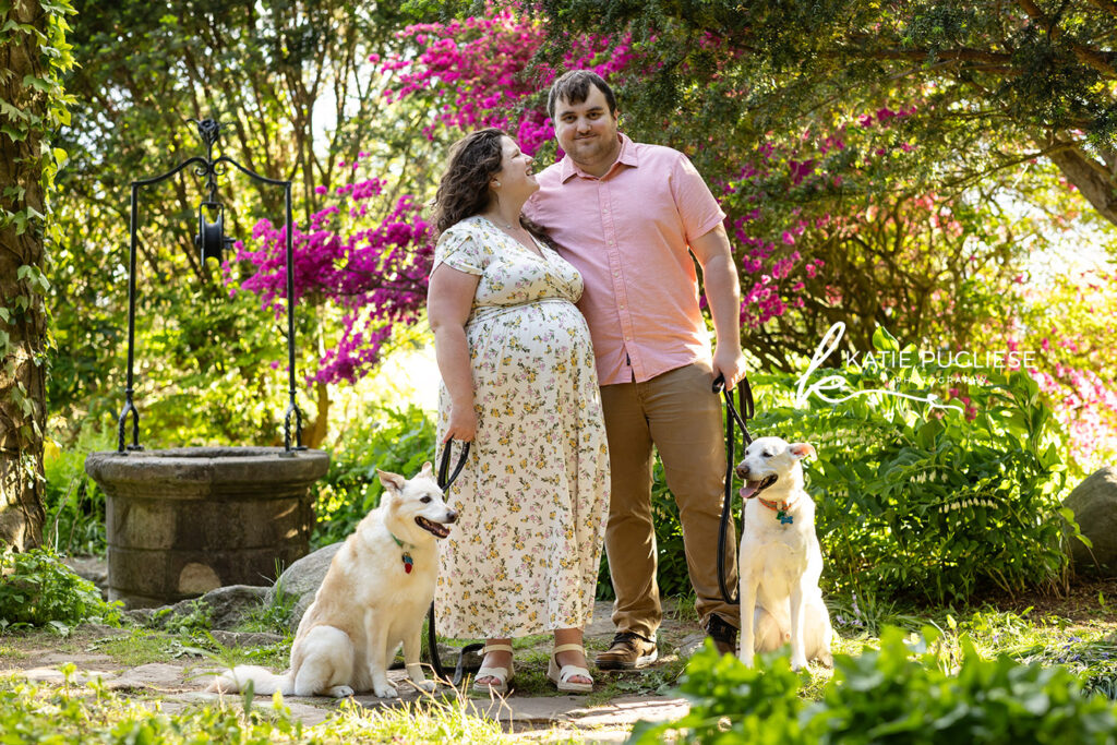 Colchester, CT maternity photographer