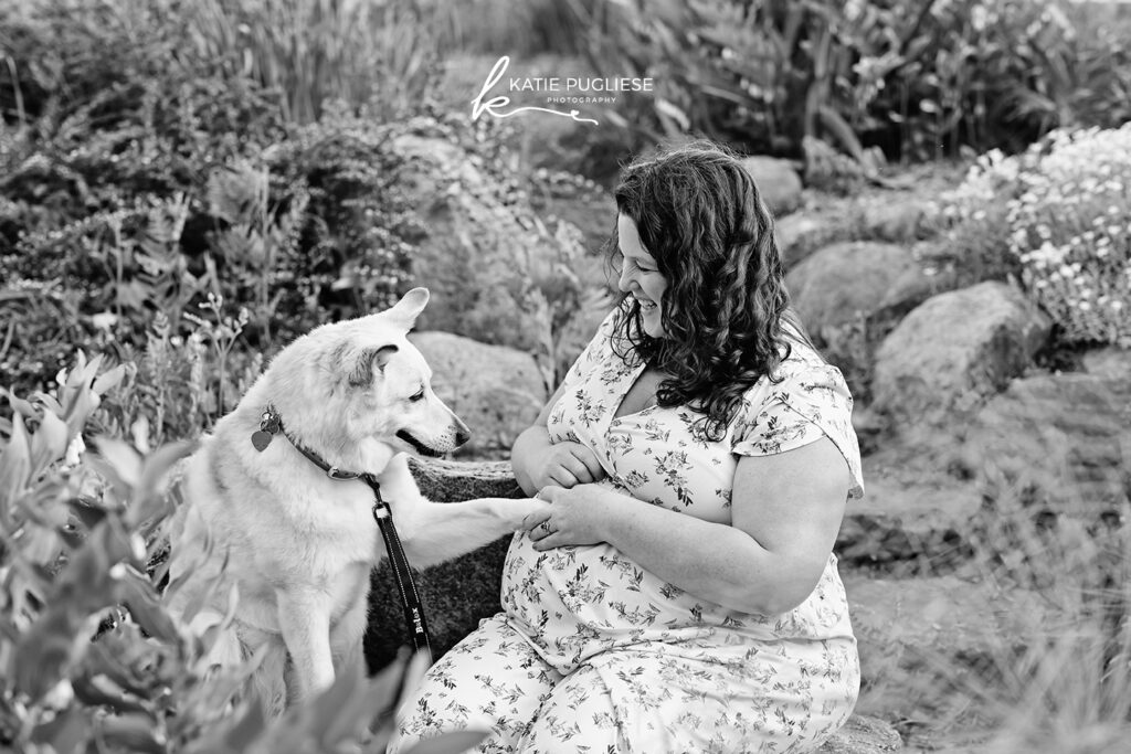 Colchester, CT maternity photographer