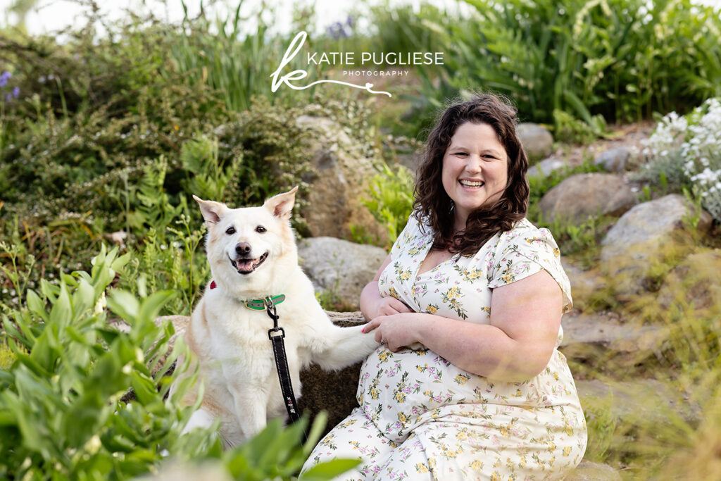 Maternity photography session in Connecticut featuring an expecting mother and dogs