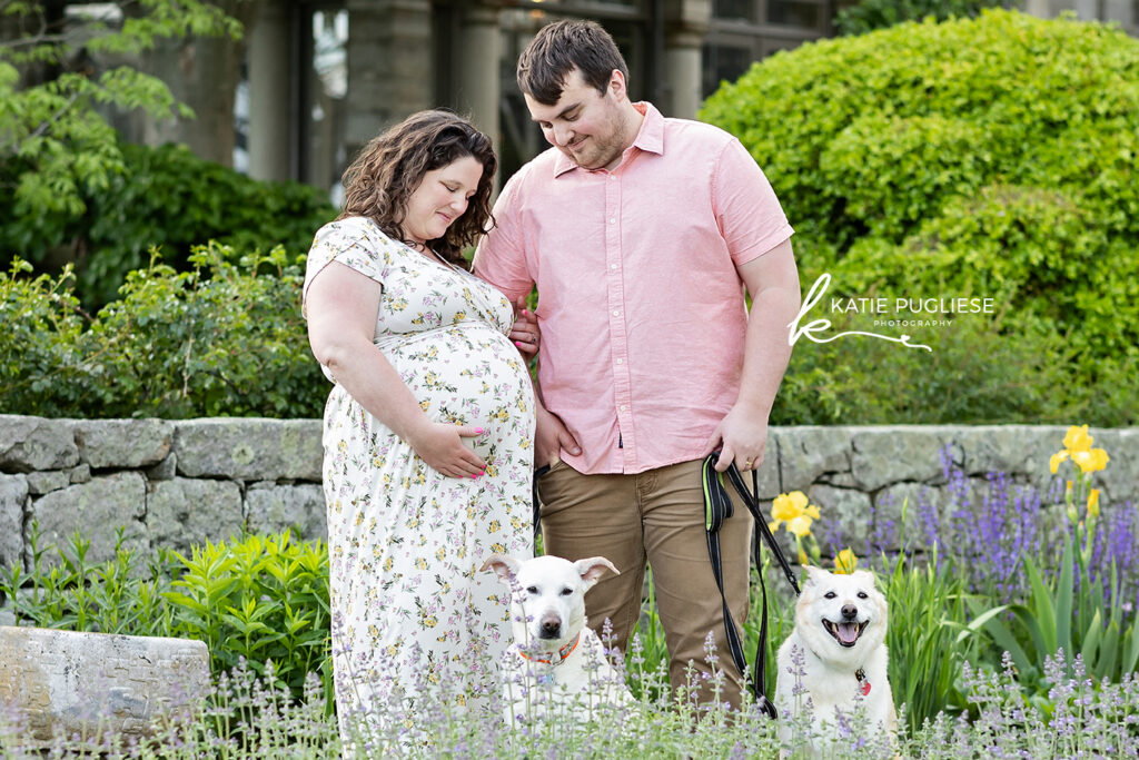 Colchester, CT maternity photographer